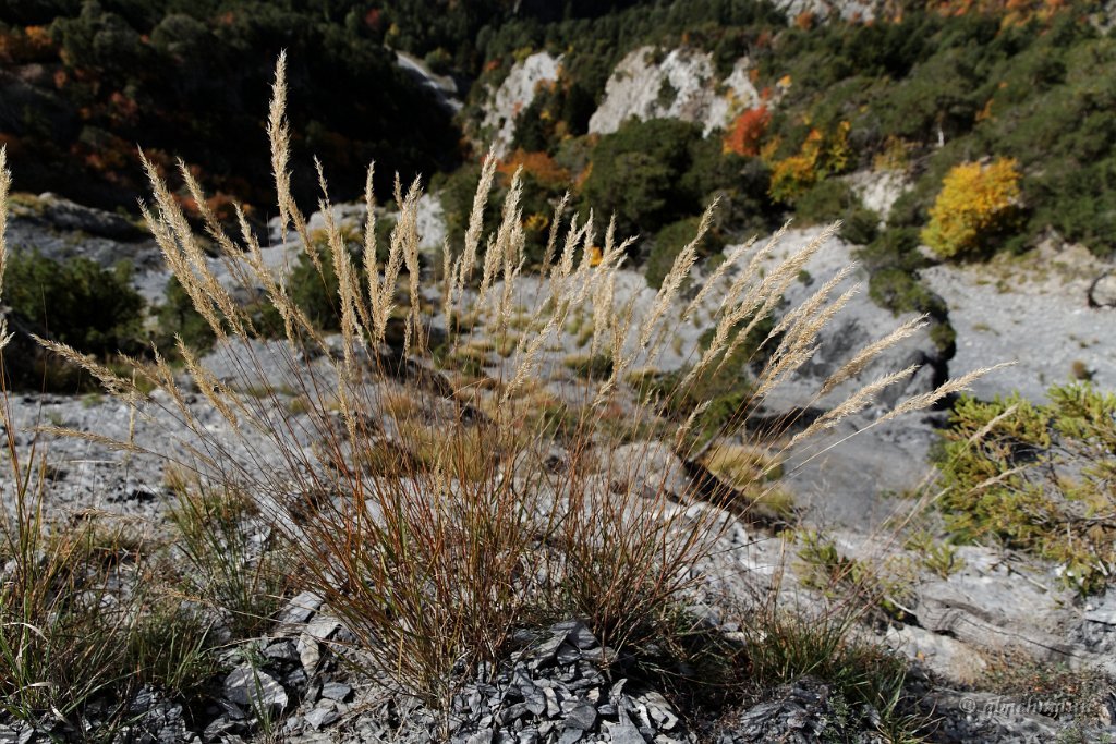 20101009_177